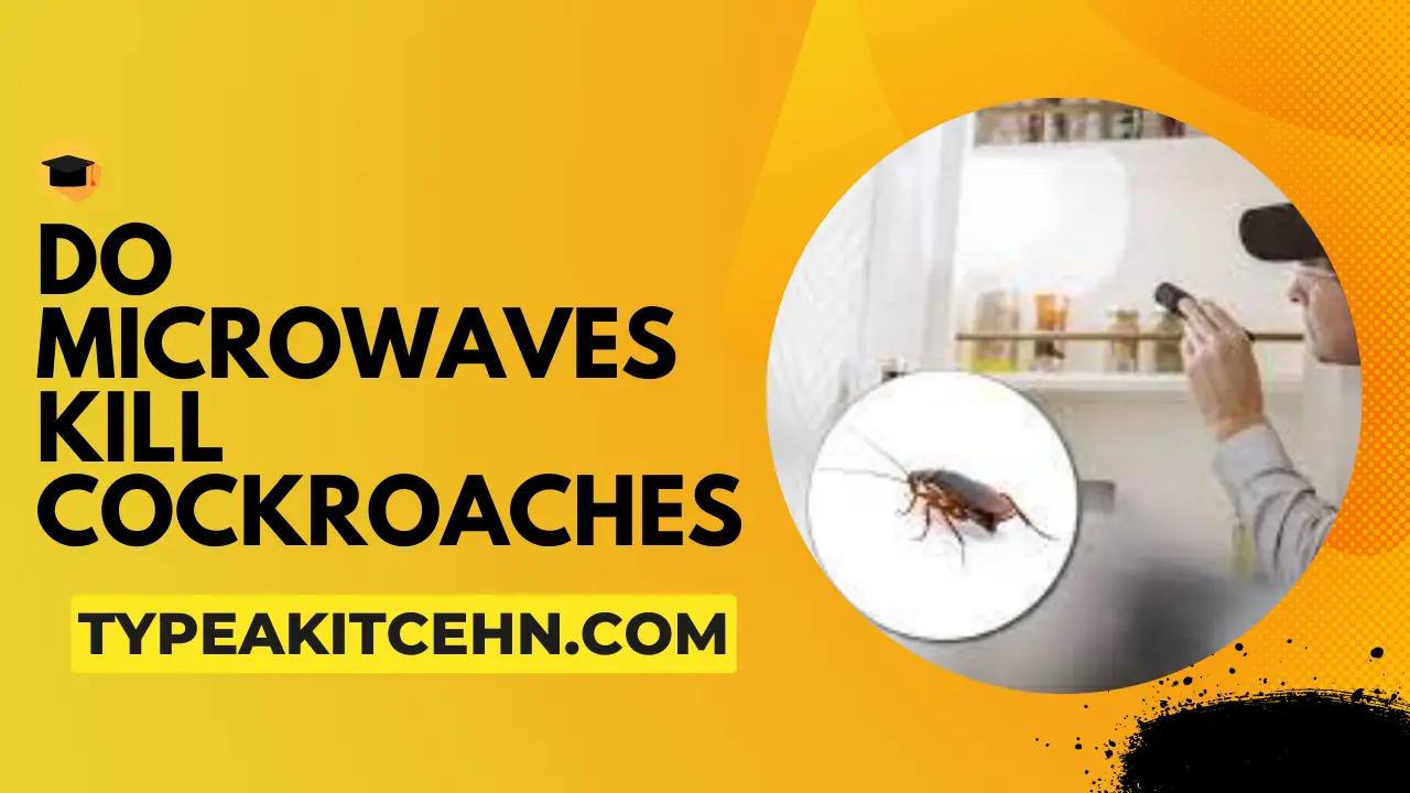 Do Microwaves Kill Cockroaches